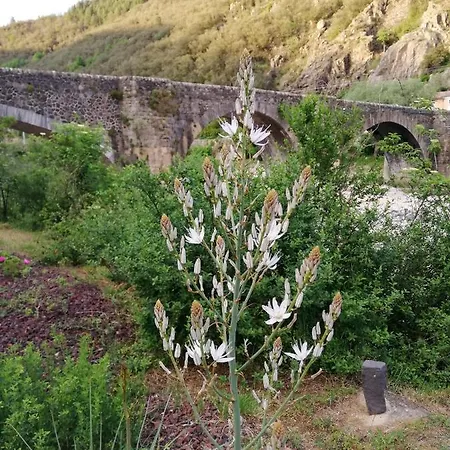 L'usine Hébergement de vacances Pont-de-Labeaume
